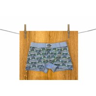 ChlapeckeBoxerky3460_celestino