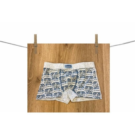 ChlapeckeBoxerkyGasolino_3460_snow