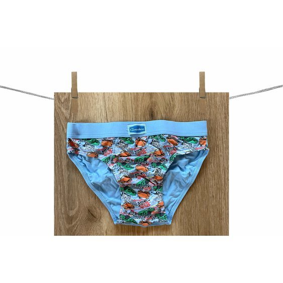 ChlapeckeSlipy_3393_celestino