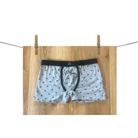 PanskeBoxerkyGasoline5258_Silver