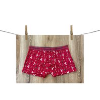 PanskeBoxerkyILGranchio-vanocnii