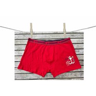 PanskeBoxerkyILGranchio_1306.jpg