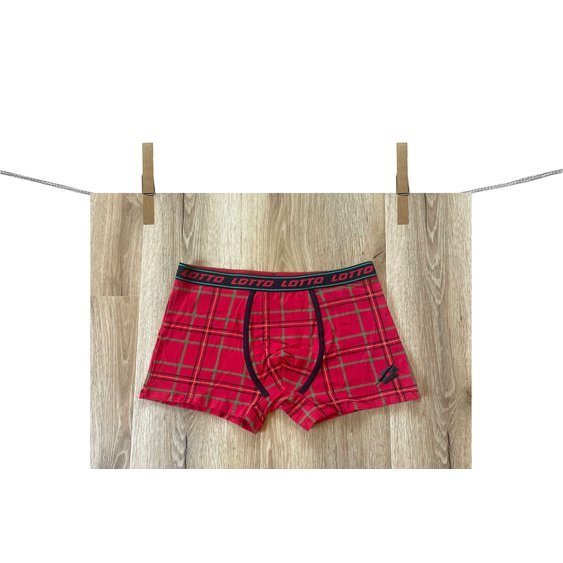 PanskeBoxerkyILGranchio_1340kostkovane