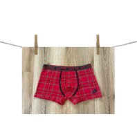 PanskeBoxerkyILGranchio_1340kostkovane