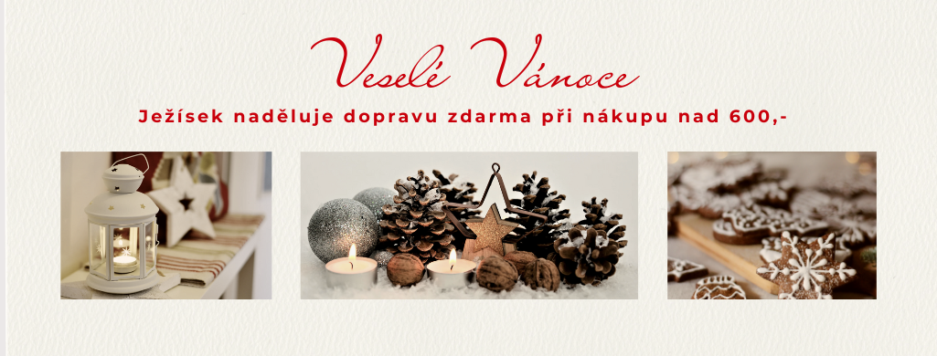 Ježíšek naděluje dopravu zdarma